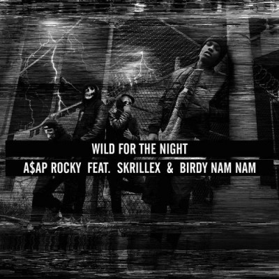 wild-for-the-night-cover