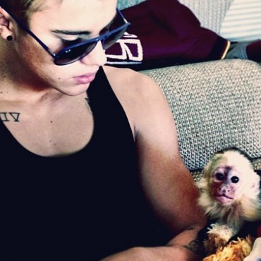 justin bieber, monkey