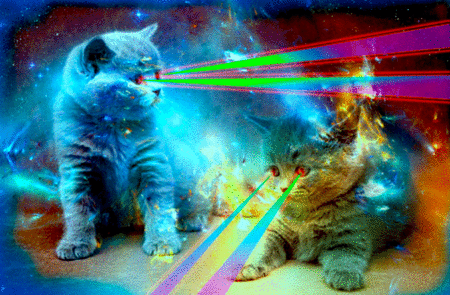 Psychedelic Cats Kittens Gif Mars Volta