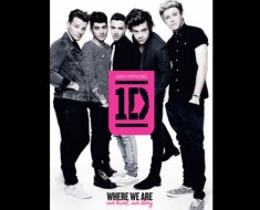 One Direction Where We Are Book Cover
