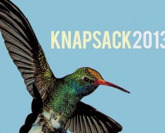 knapsack, 2013, emo