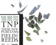 these new puritans fields of reeds