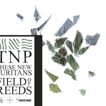 these new puritans fields of reeds