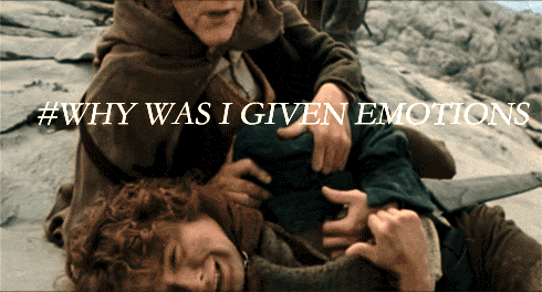 Lord Of The Rings Crying Gif