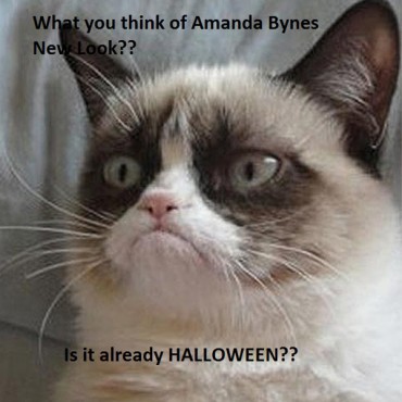 Grumpy Cat Amanda Bynes