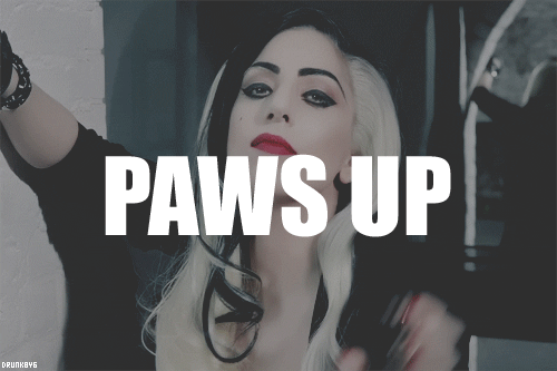 Lady Gaga Paws Up Gif
