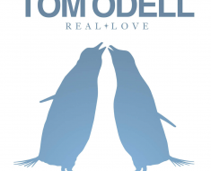 Tom Odell Real Love