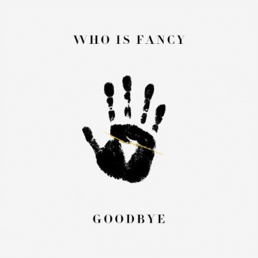 Who Is Fancy Goodbye Album Cover